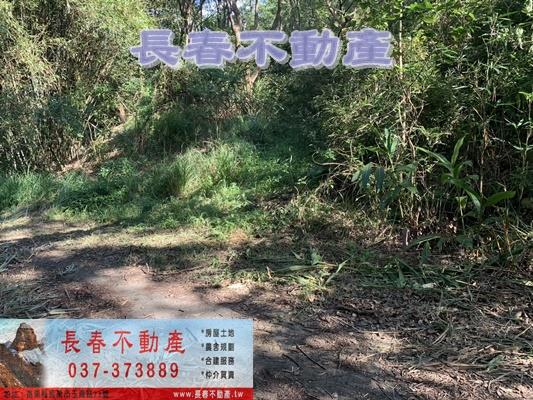 苗栗市農地_山坡地_休閒地-13