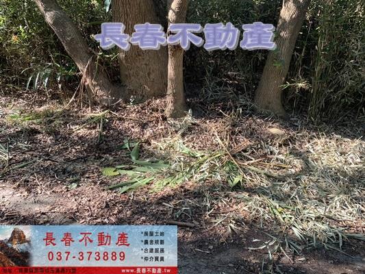 苗栗市農地_山坡地_休閒地-14