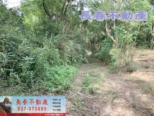 苗栗市農地_山坡地_休閒地-1
