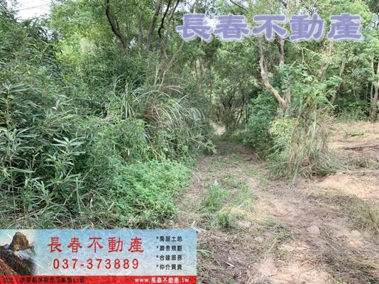 苗栗市農地_山坡地_休閒地-4