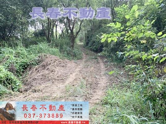 苗栗市農地_山坡地_休閒地-5