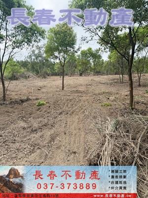 苗栗市農地_山坡地_休閒地-5