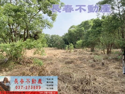 苗栗市農地_山坡地_休閒地-6