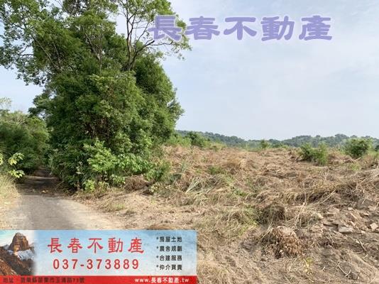 苗栗市農地_山坡地_休閒地-7