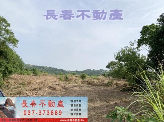 苗栗市農地_山坡地_休閒地-8