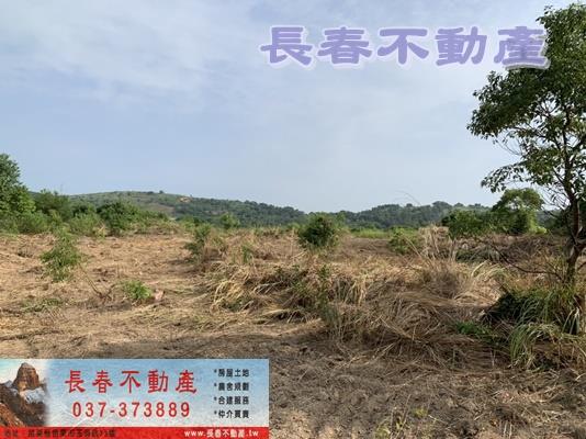 苗栗市農地_山坡地_休閒地-9