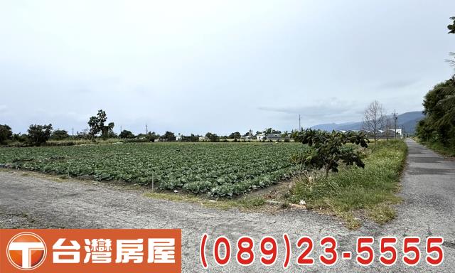 台東台東市農地-6