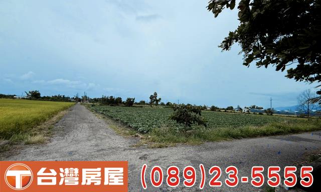 台東台東市農地-7