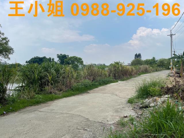 桃園農地-4