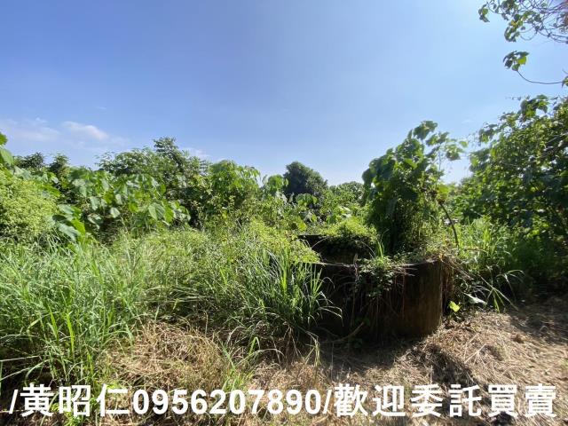 台南玉井農地_建地-11