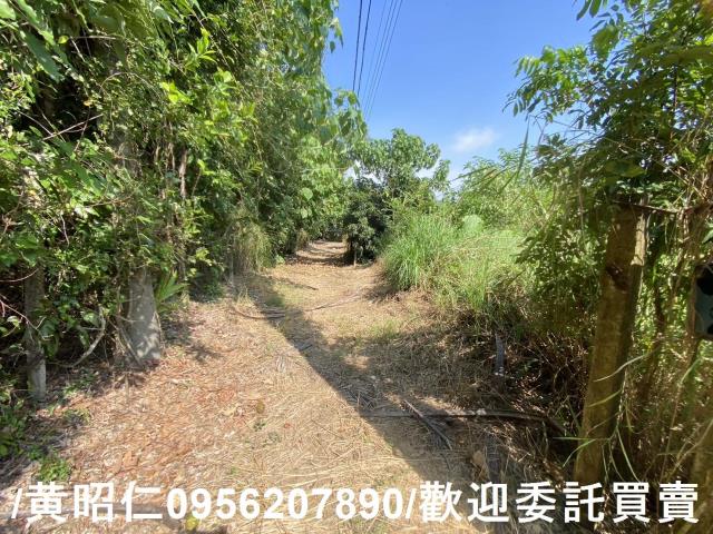 台南玉井農地_建地-5