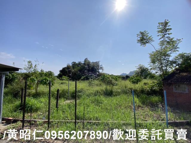 台南玉井農地_建地-8