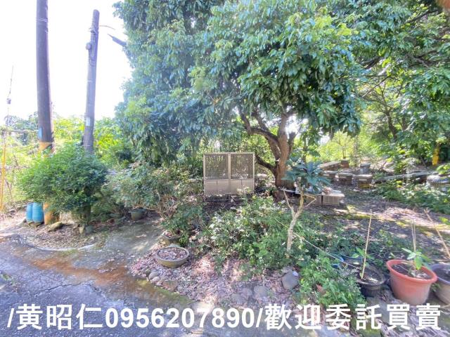 台南玉井農地_建地-10