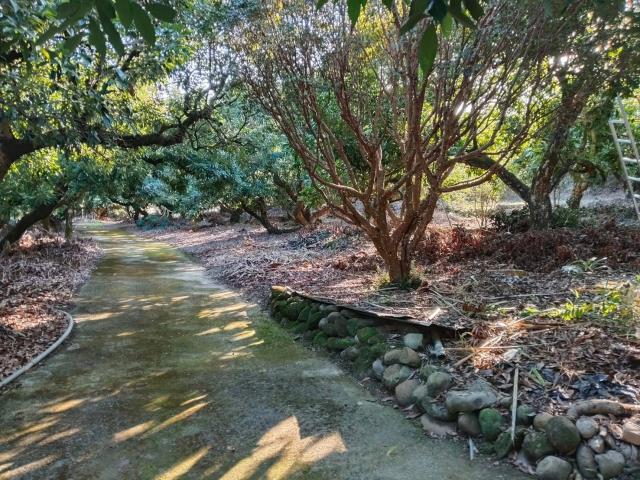 台中太平農地_山坡地-4