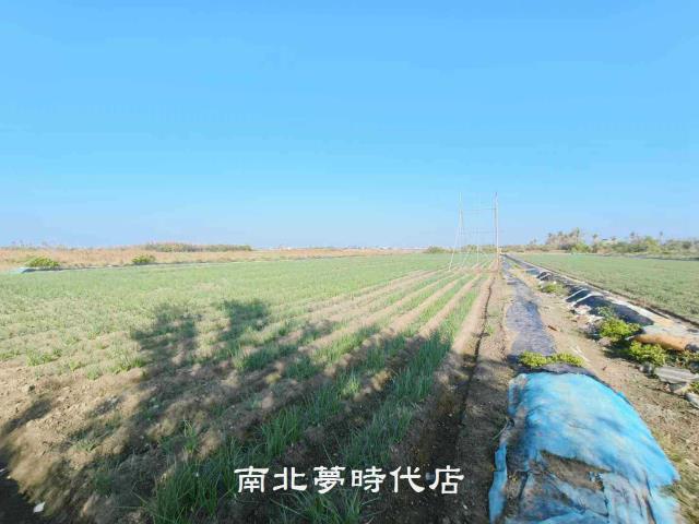 安南農地-1