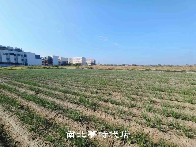 安南農地-3