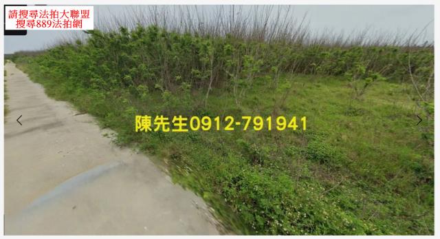 西嶼農地法拍-11