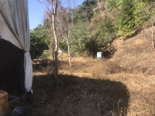 太平農地_山坡地-14