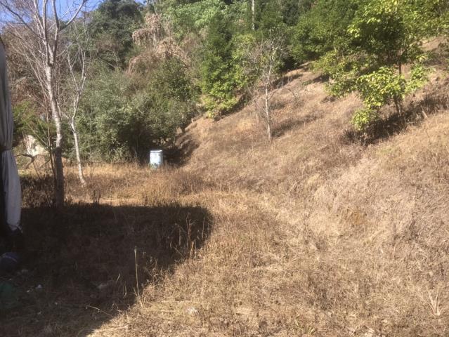 太平農地_山坡地-15