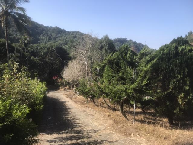 太平農地_山坡地-5