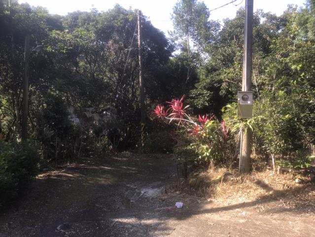 太平農地_山坡地-6