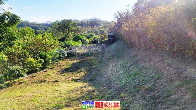 苗栗農地-14