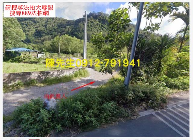 花蓮卓溪農地_山坡地拍賣-3