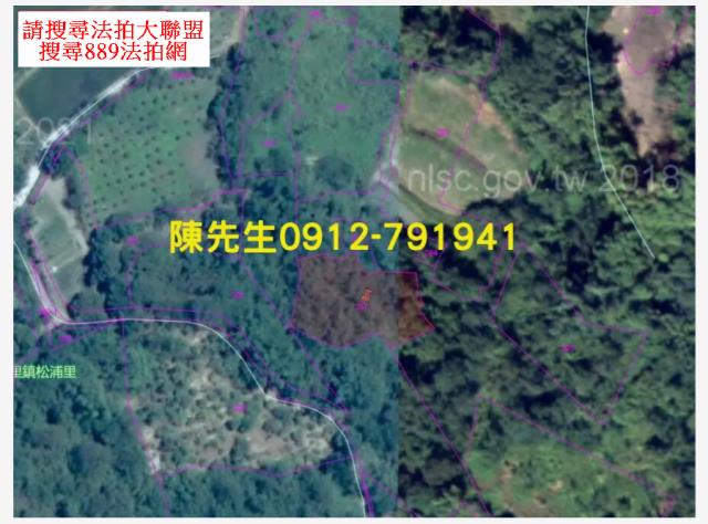 玉里山坡地拍賣-15