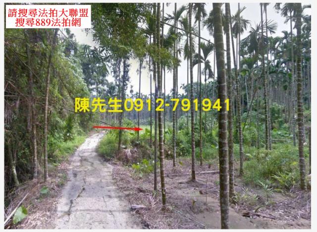 嘉義農地拍賣-4