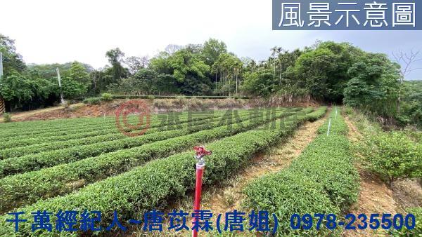 新竹農地_山坡地-6