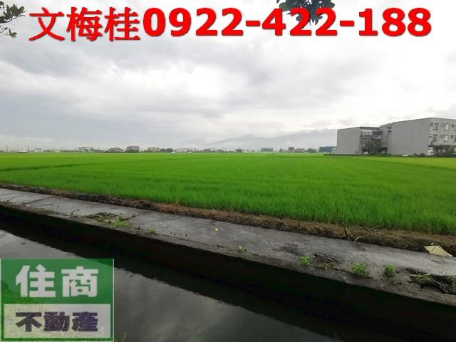 宜蘭壯圍農地-1