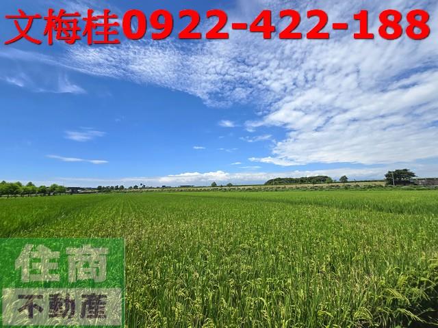 宜蘭壯圍農地-3