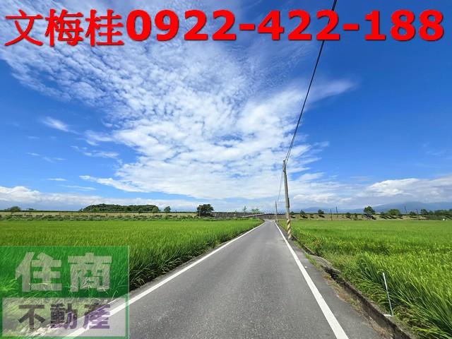 宜蘭壯圍農地-7