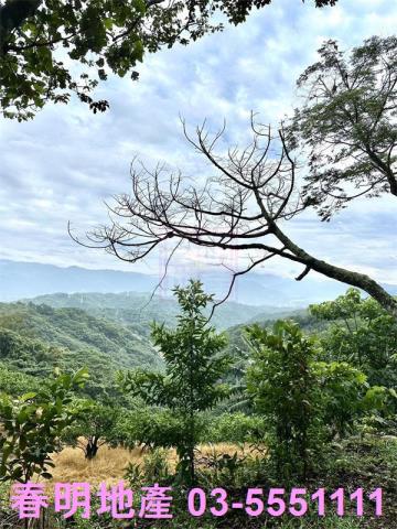 新竹芎林農地-2