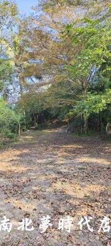 台南龍崎農地_建地_山坡地-10