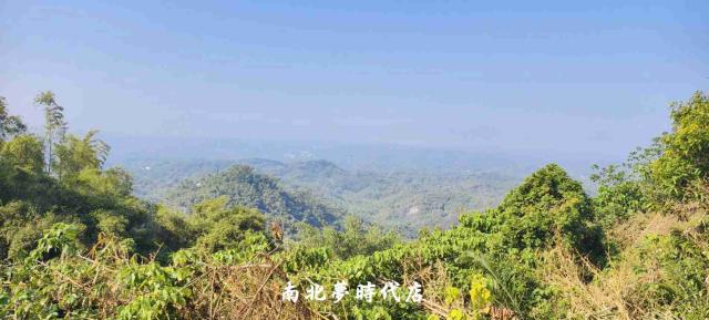 台南龍崎農地_建地_山坡地-12
