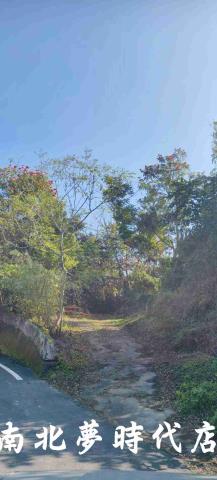 台南龍崎農地_建地_山坡地-13