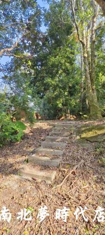 台南龍崎農地_建地_山坡地-6