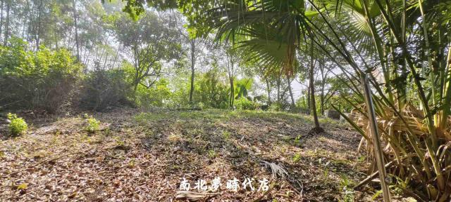 台南龍崎農地_建地_山坡地-7