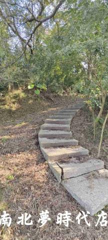 台南龍崎農地_建地_山坡地-8