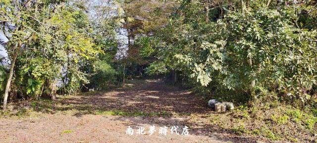 台南龍崎農地_建地_山坡地-9