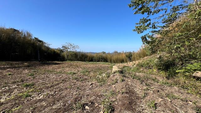 尖石農地_山坡地-11