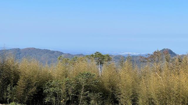 尖石農地_山坡地-13