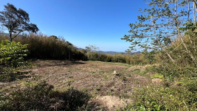尖石農地_山坡地-14