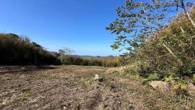 尖石農地_山坡地-15