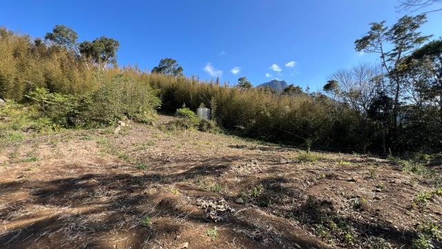 尖石農地_山坡地-5