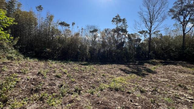 尖石農地_山坡地-6
