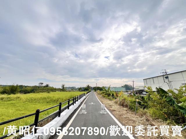 歸仁農地-6