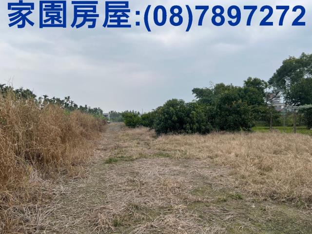 萬巒農地-1