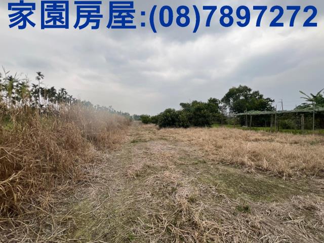 萬巒農地-2